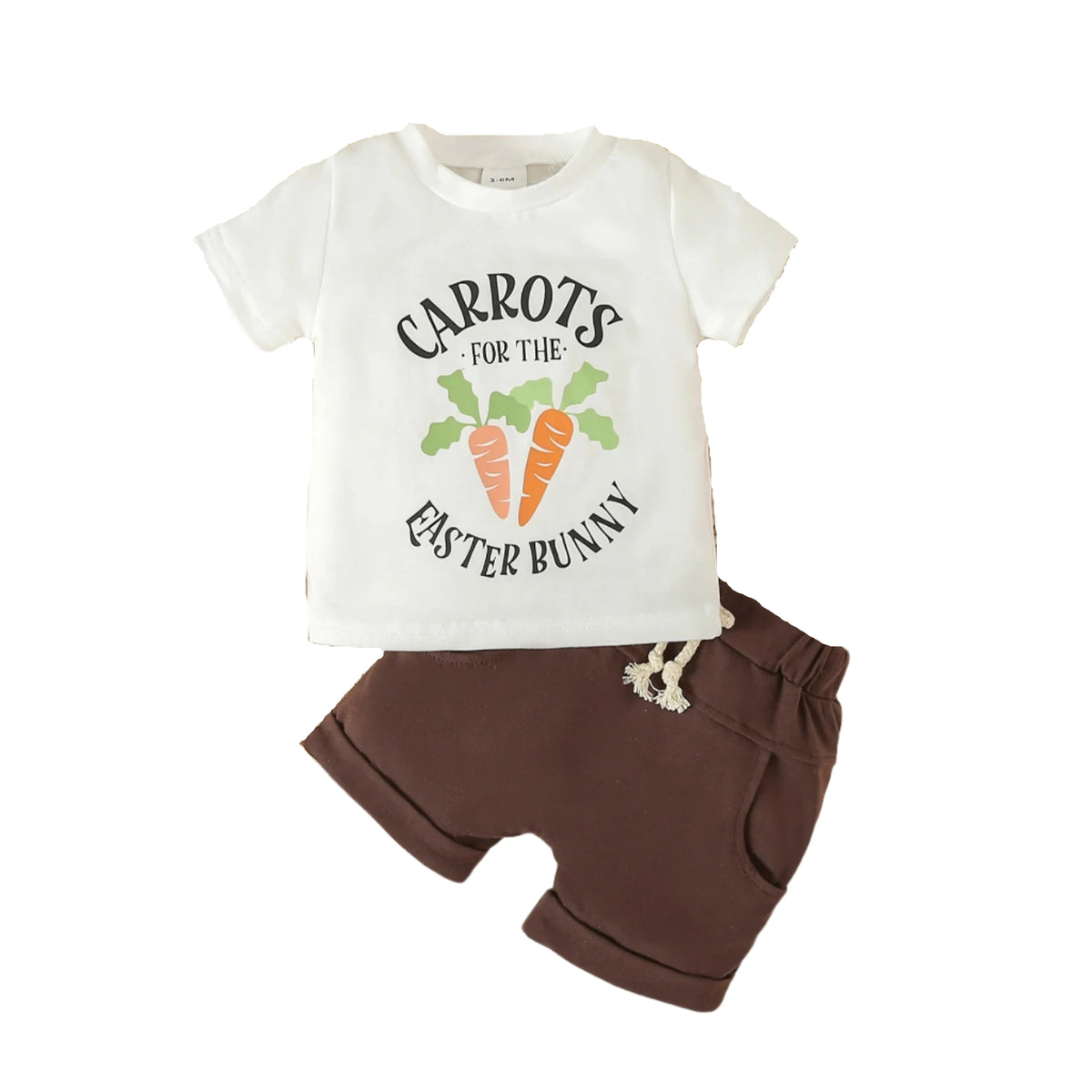 Carrots For The Easter Bunny Set (CLEARANCE)