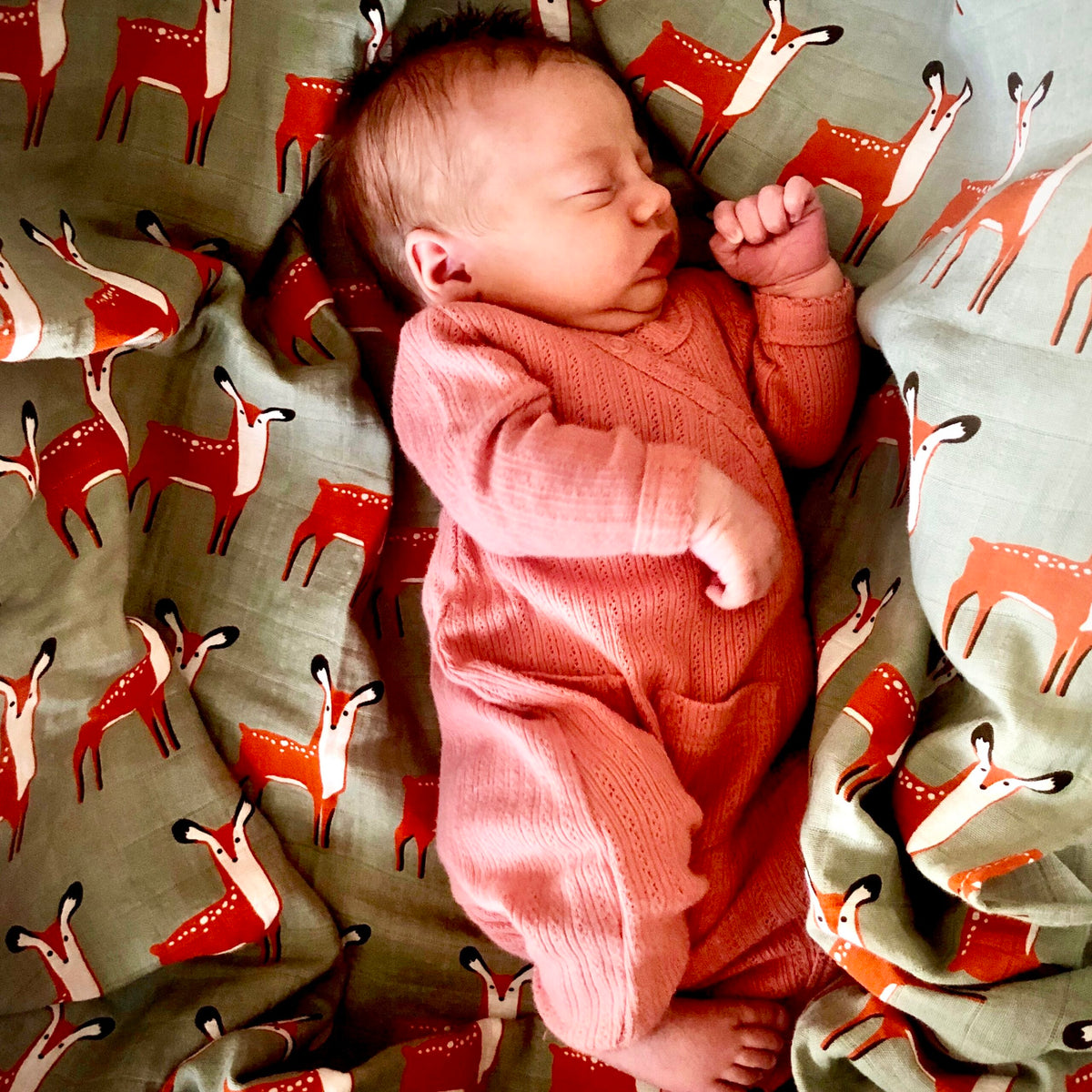Tinker Tot Baby - Organic Cotton Swaddle – Dashing Deer