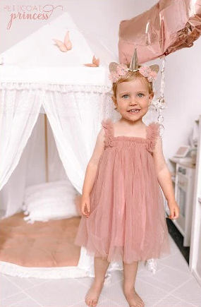 Petticoat Princess - Dusty Pink Butterfly Dress