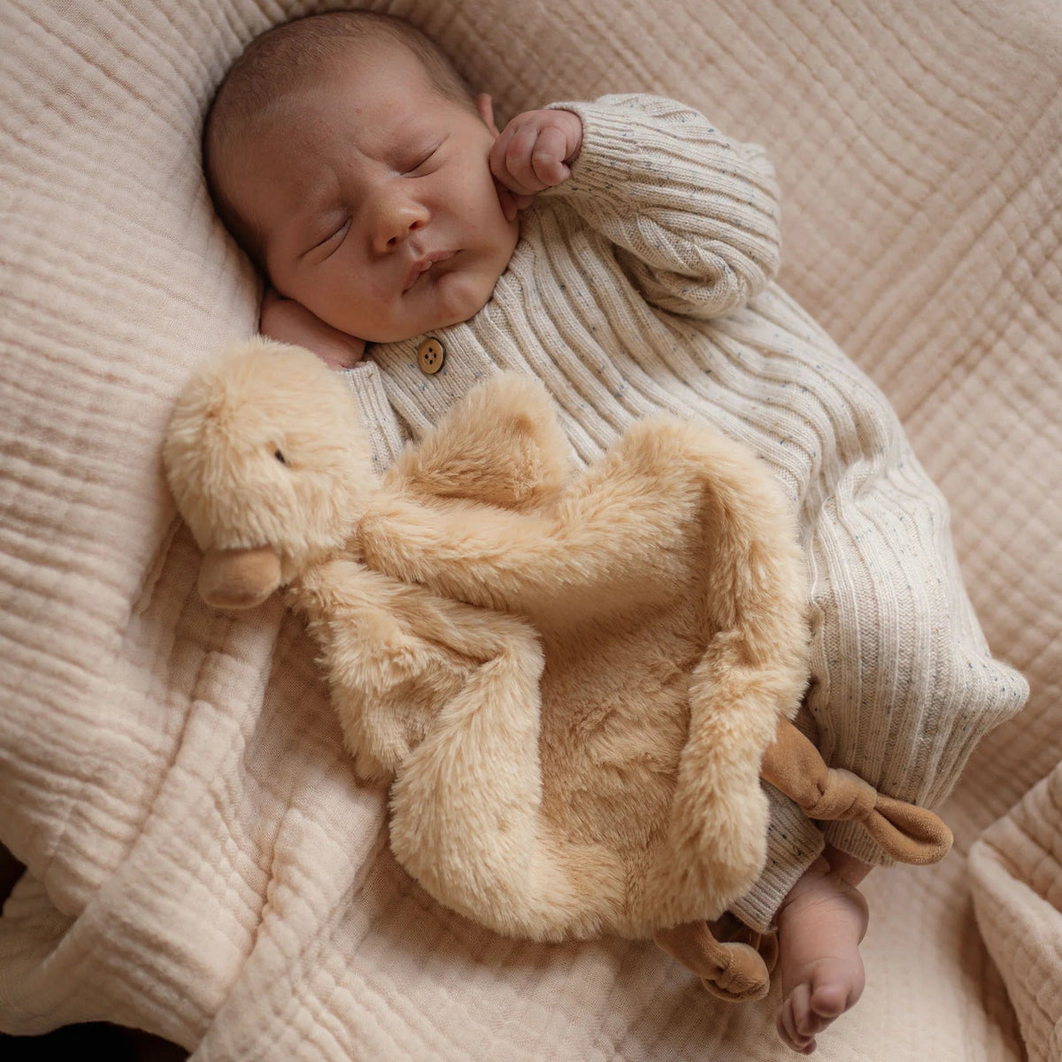 Pop Ya Tot - Comforter Toy | Quacks