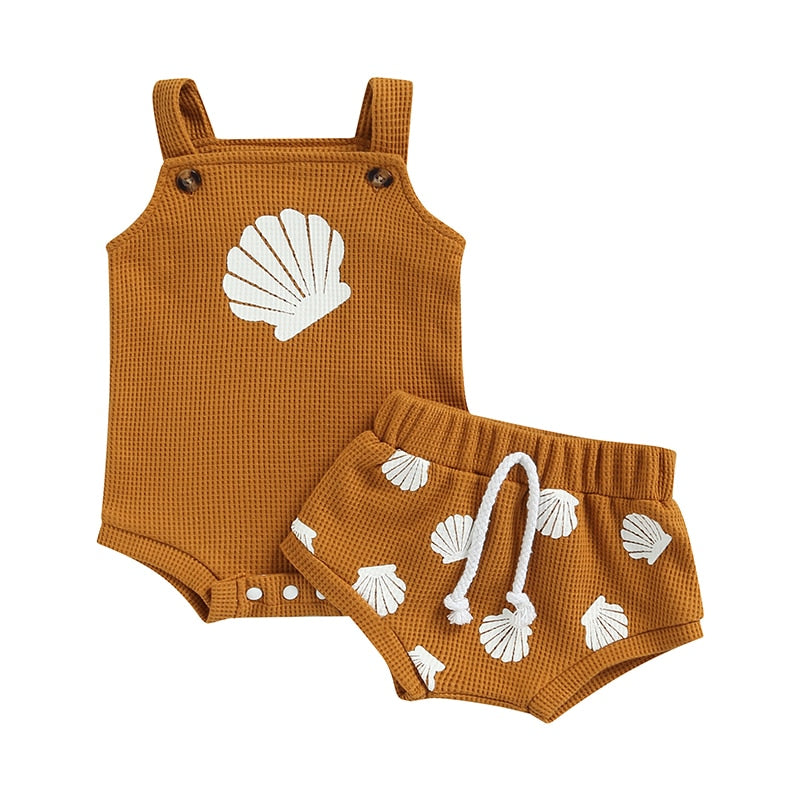 Seashell Set | Brown